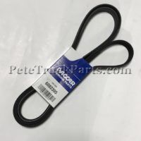 BELT-POLY 8 RIBS X 2395 ACSM D84-1000-6082395