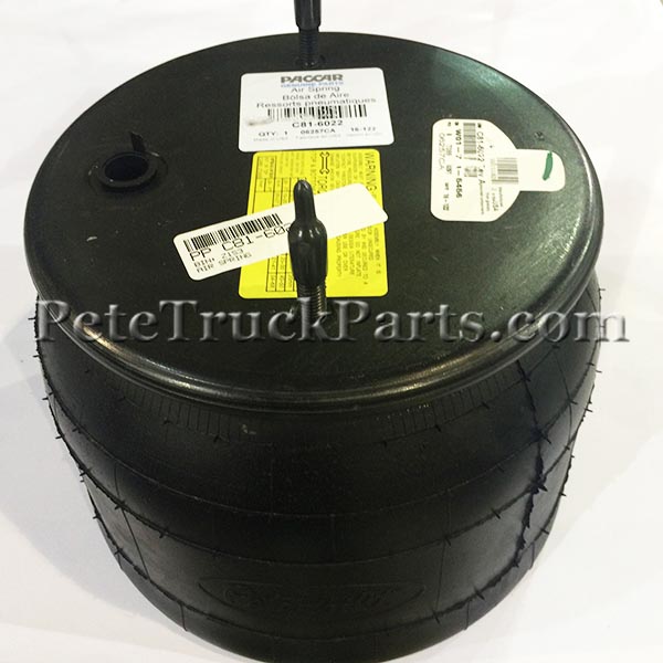 AIR SPRING C81-6022 AIR SPRING C81-6022