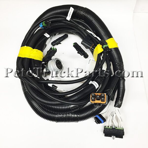 Single Thin Belt | DECi